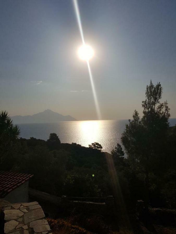 Villa Athos Sarti Bagian luar foto