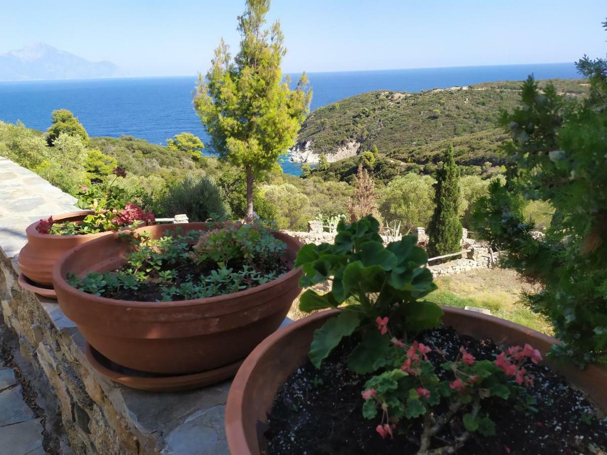 Villa Athos Sarti Bagian luar foto